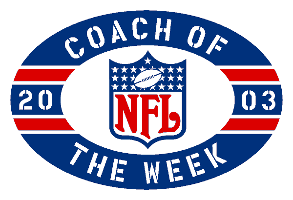 National Football League 2003 Special Event Logo DTF transfer for t shirt